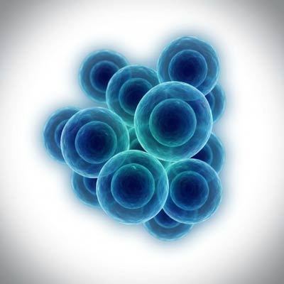 why glutathione, human cells close up